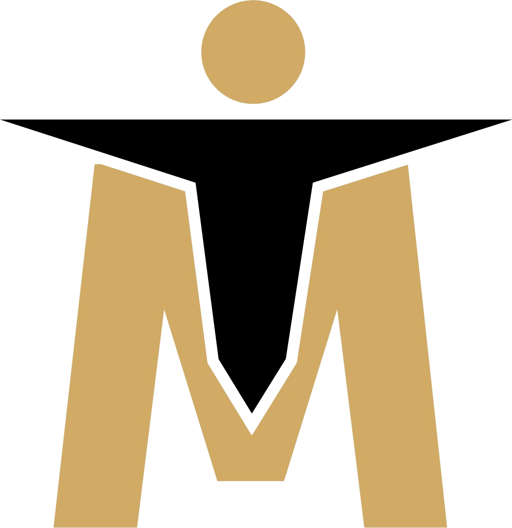 TIM LLC Logo